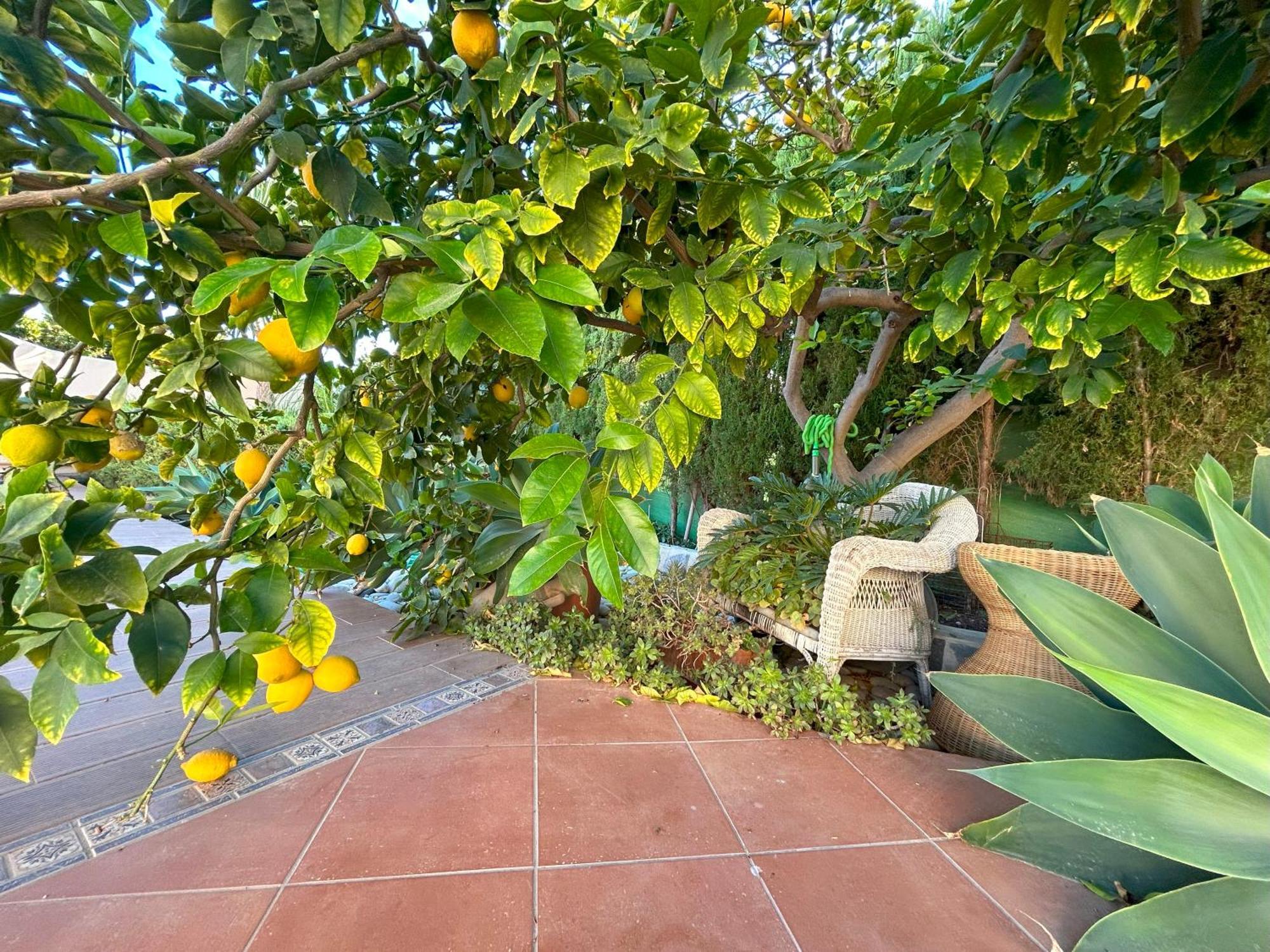 קלפה Casa Luna Llena מראה חיצוני תמונה